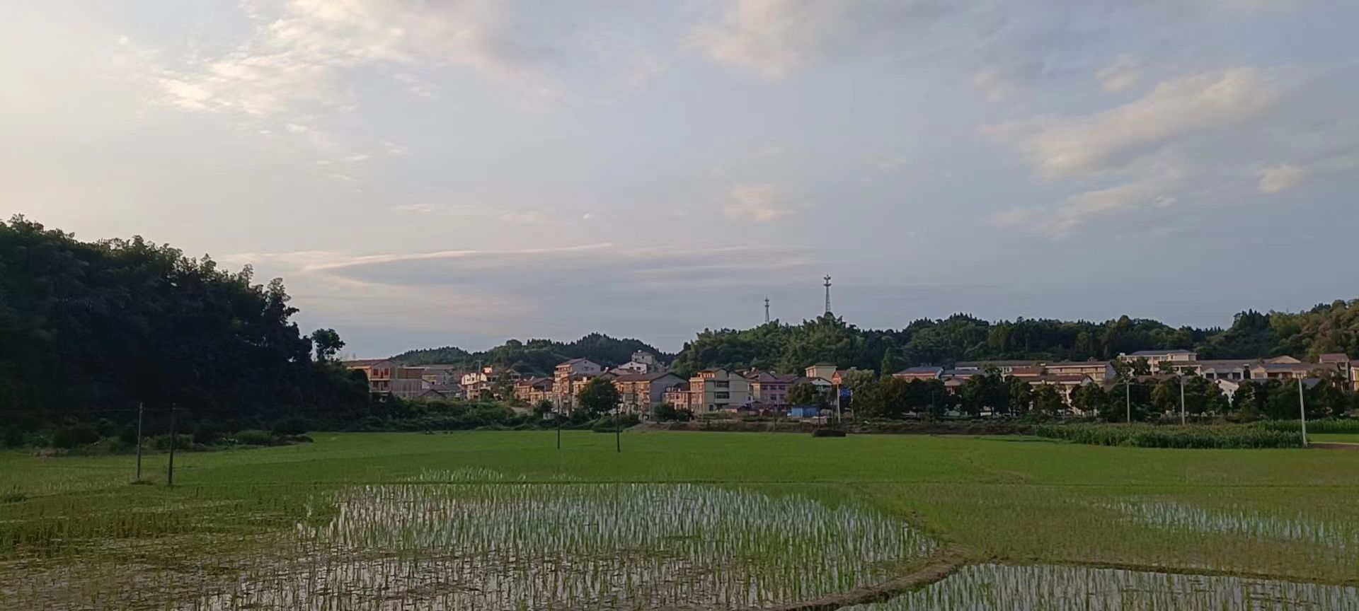 太平铺村主要产业有茶叶、水稻、油菜、杉木、药材、生猪等，其中水稻种植面积为320亩。