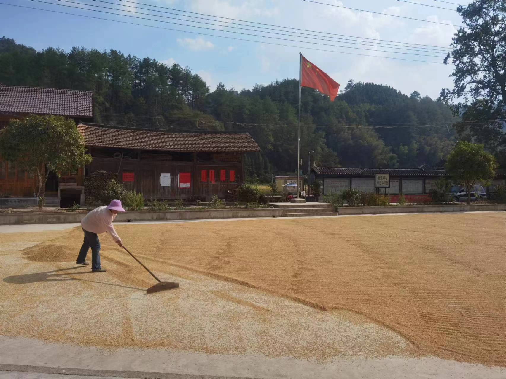 杜家坪乡杜家坪村种粮大户仇荣田