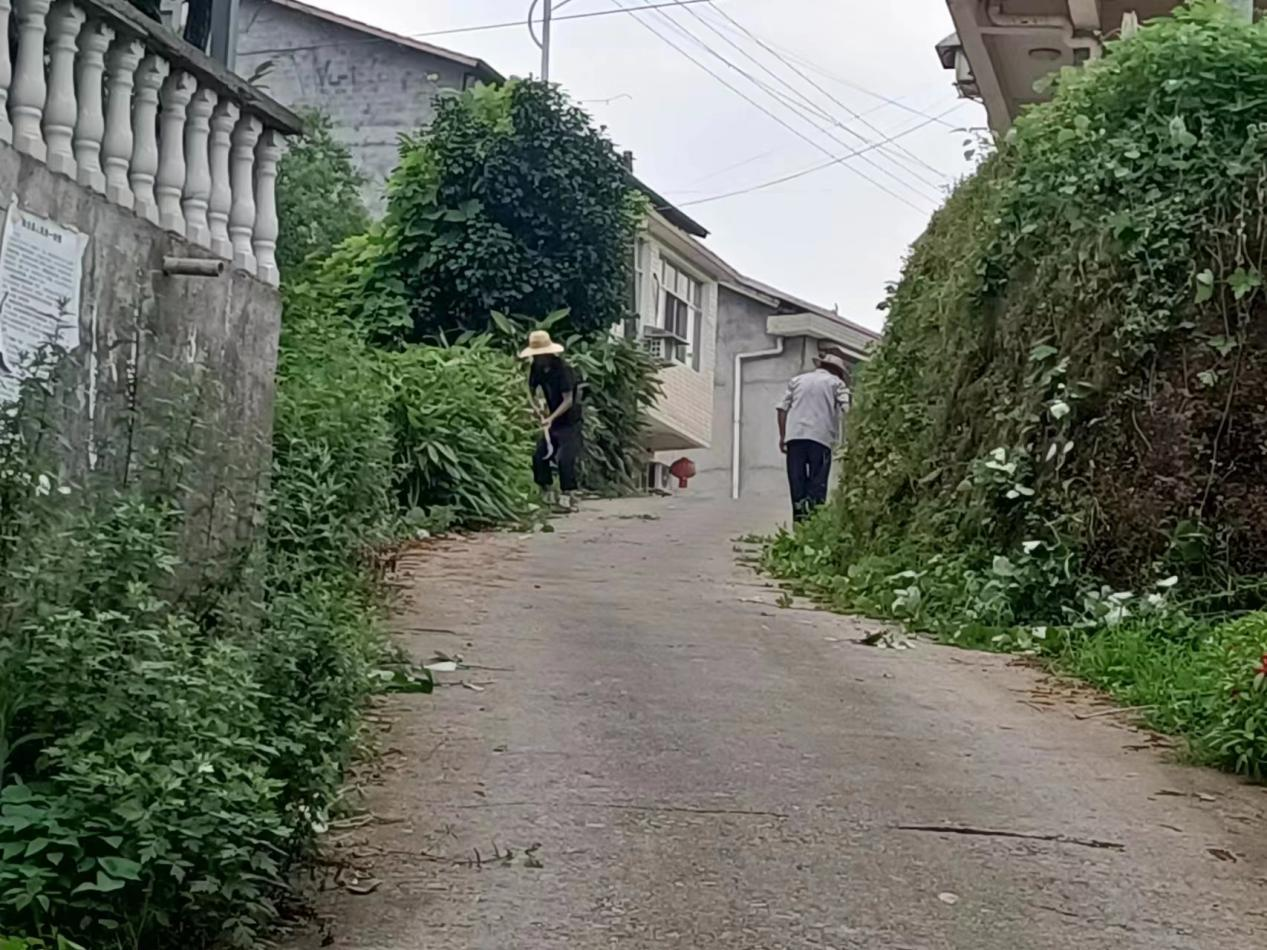 太平铺村环境整治