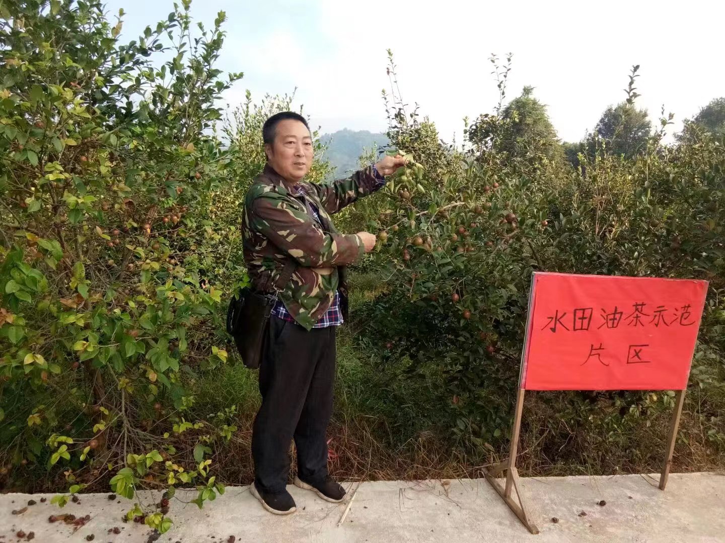 清浪乡水田村特色产业油茶种植