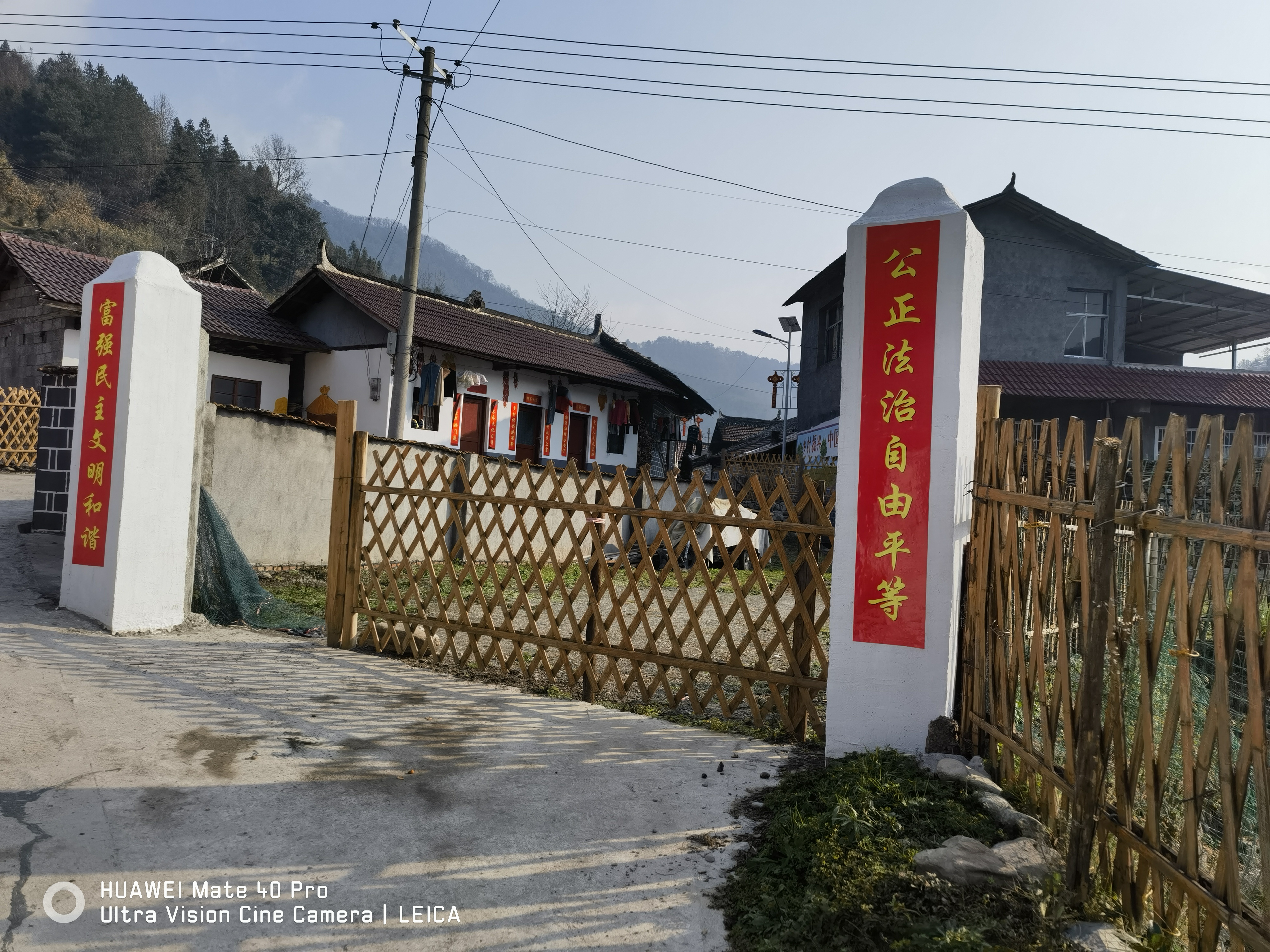 莫瑶