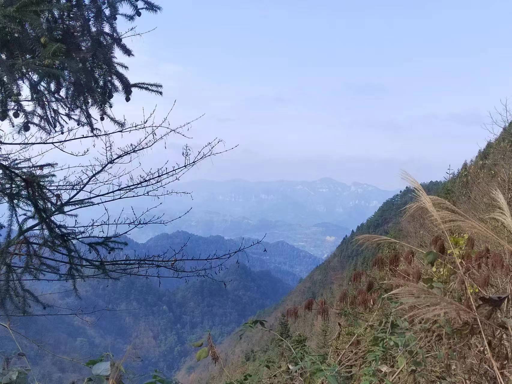 舒永行