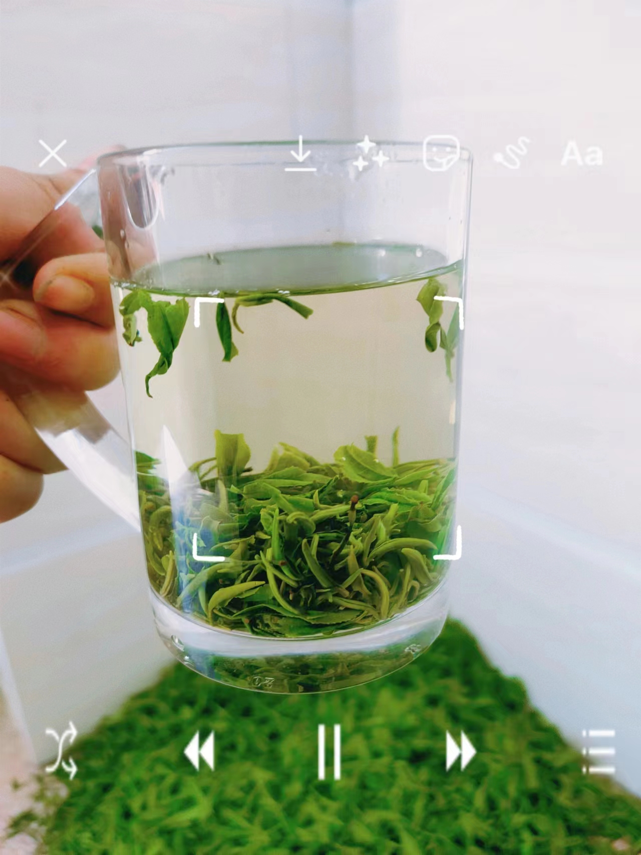 舒家溪村特色------茶叶
