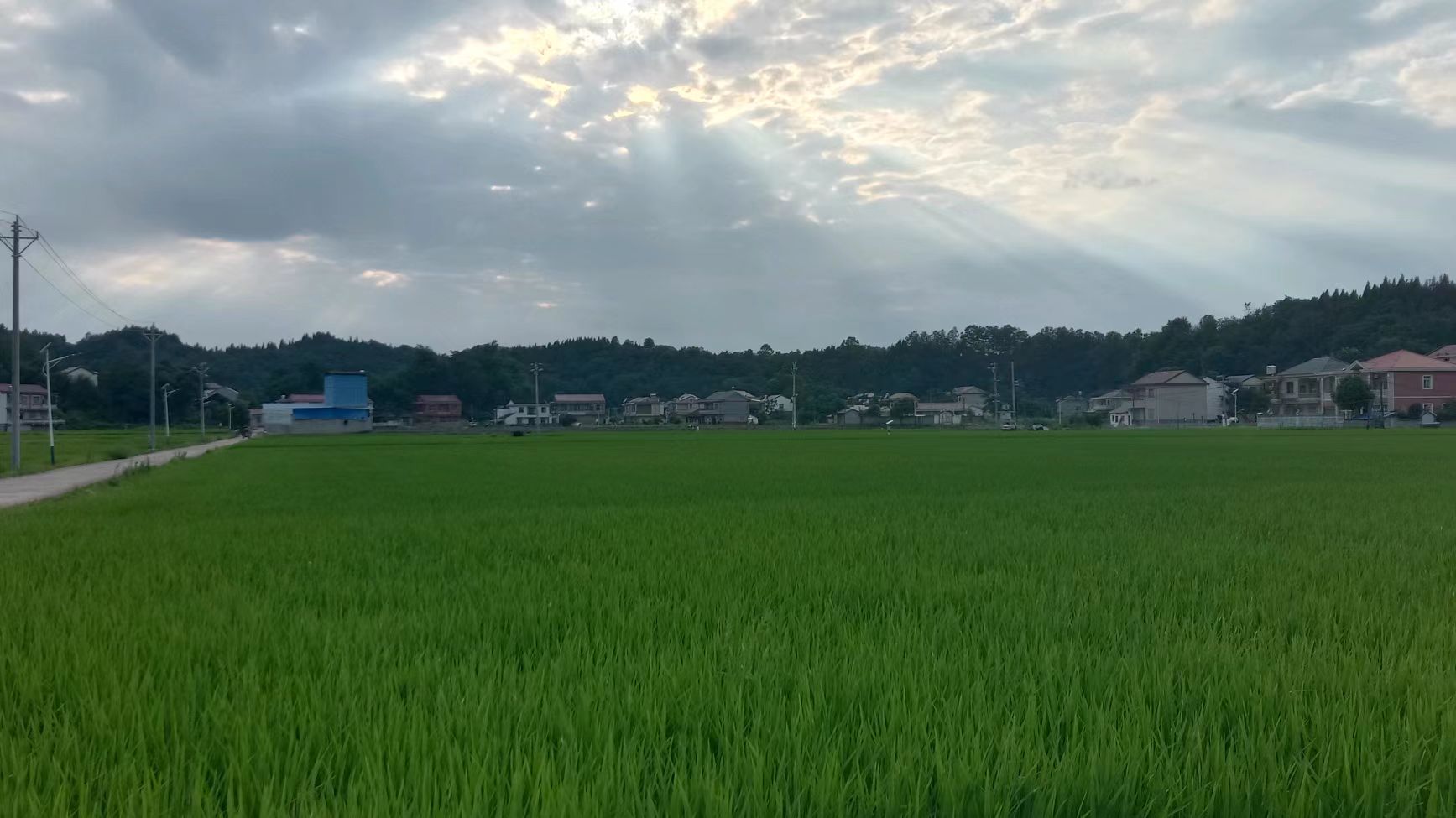 罗末秋