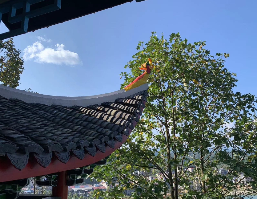 舒永行