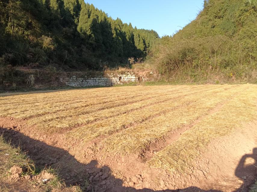 符跃腾