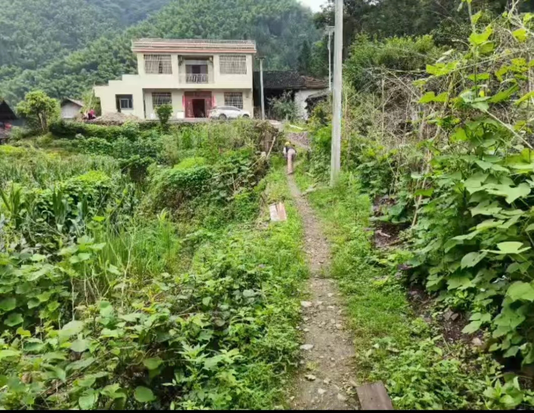 谢旭桃