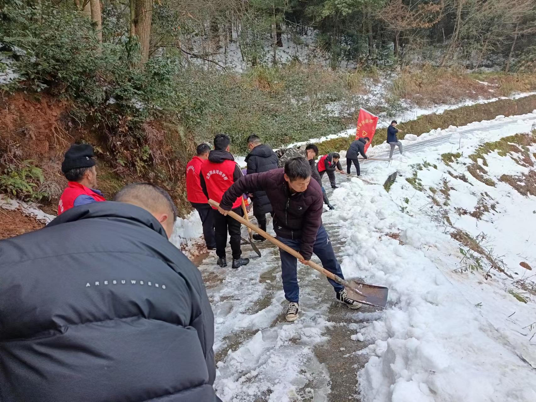 2024年2月8日清浪乡水田村开展铲雪行动