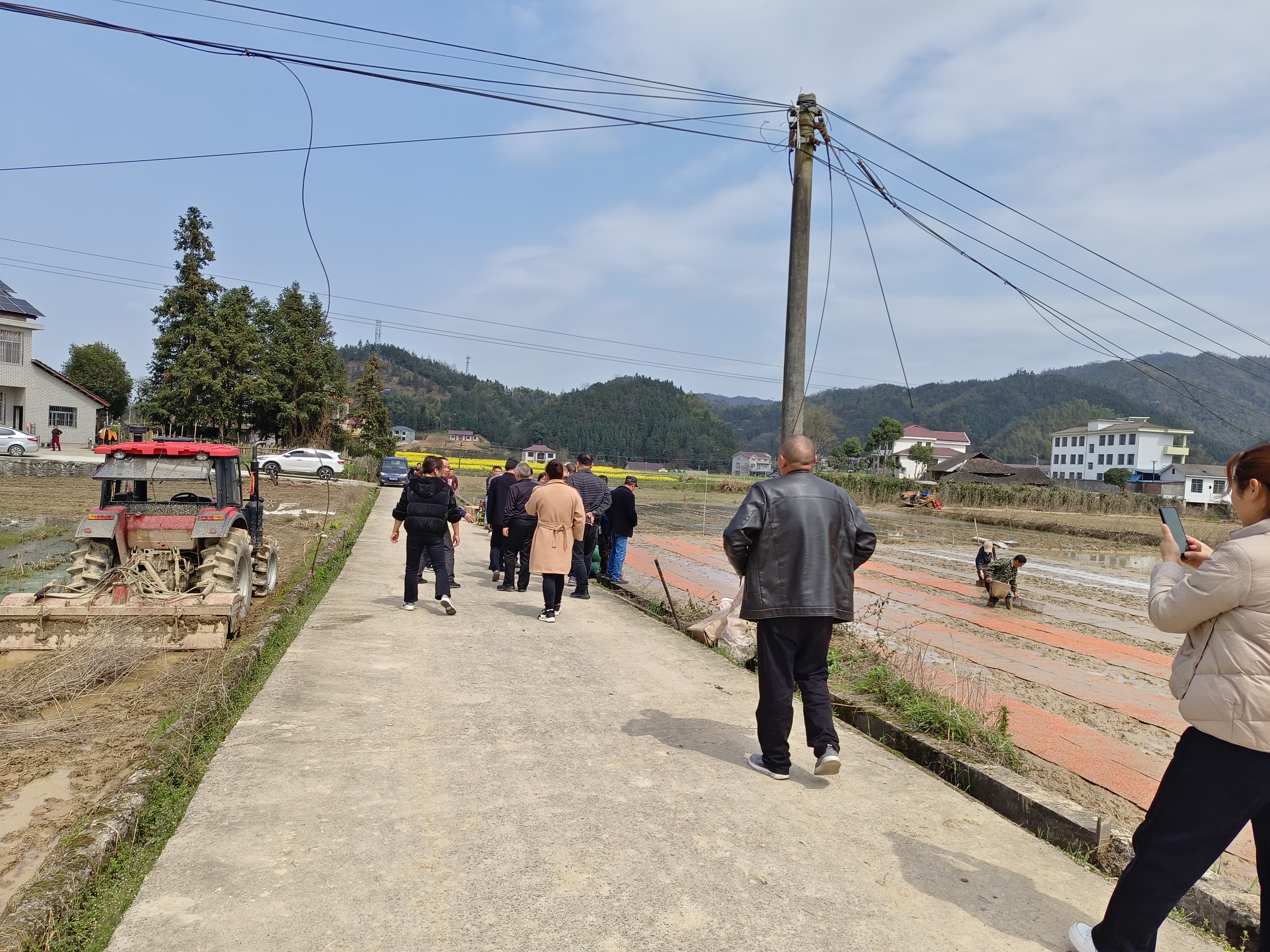 黄秋霞