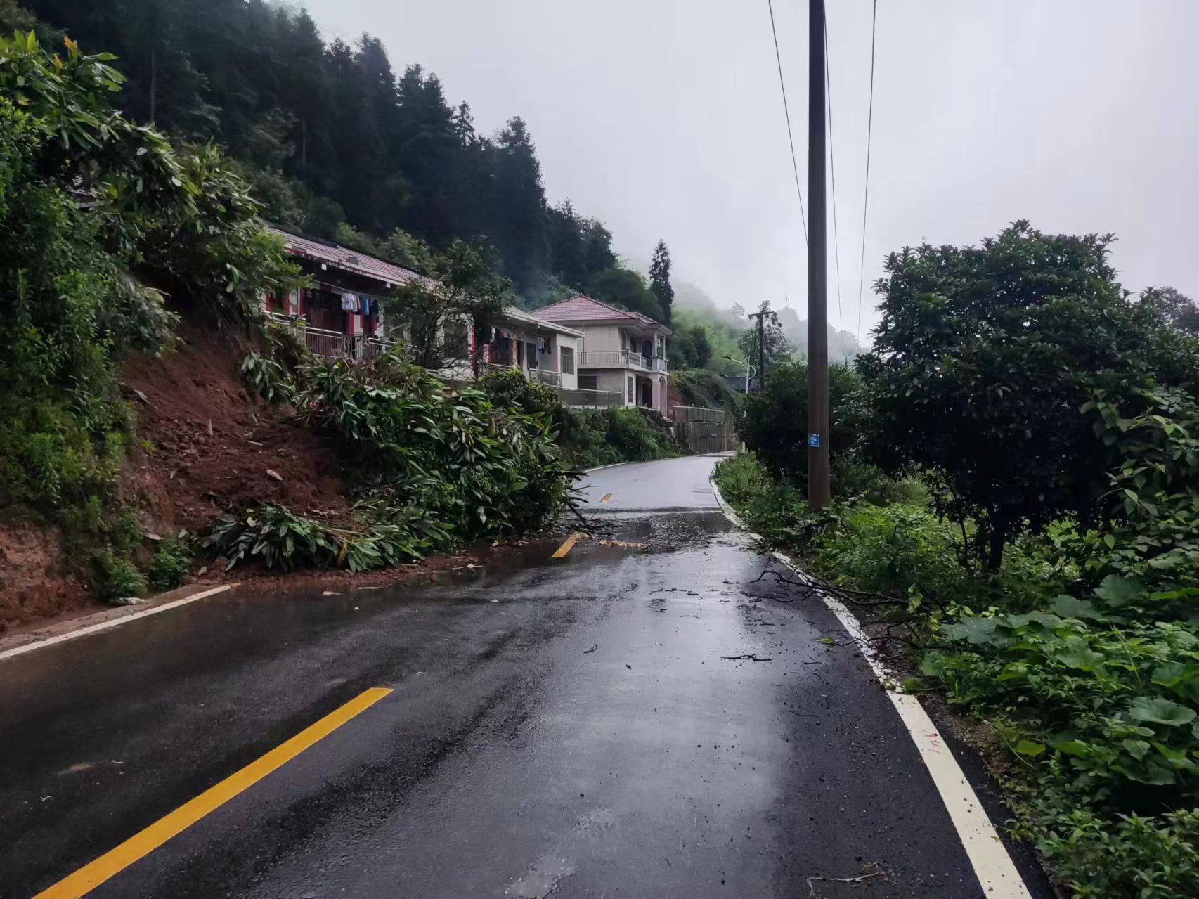 向秀华