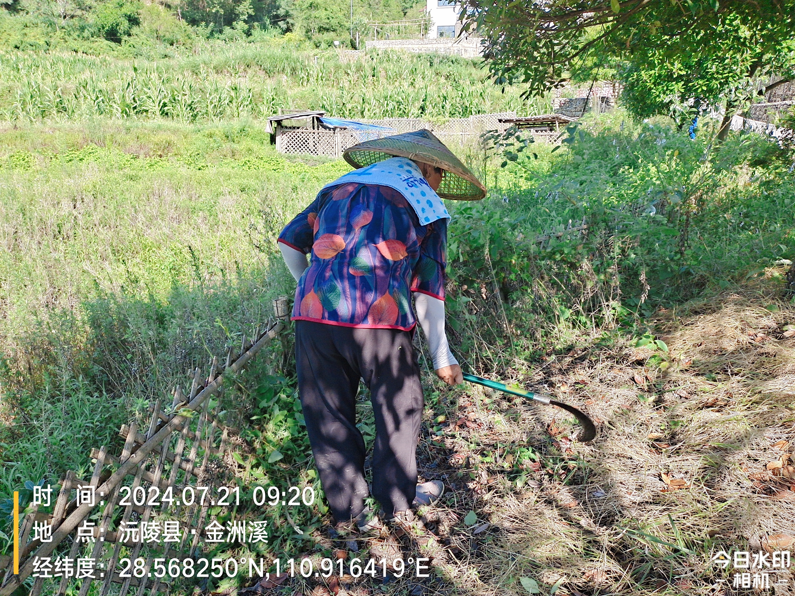 界亭驿村日常道路清洁