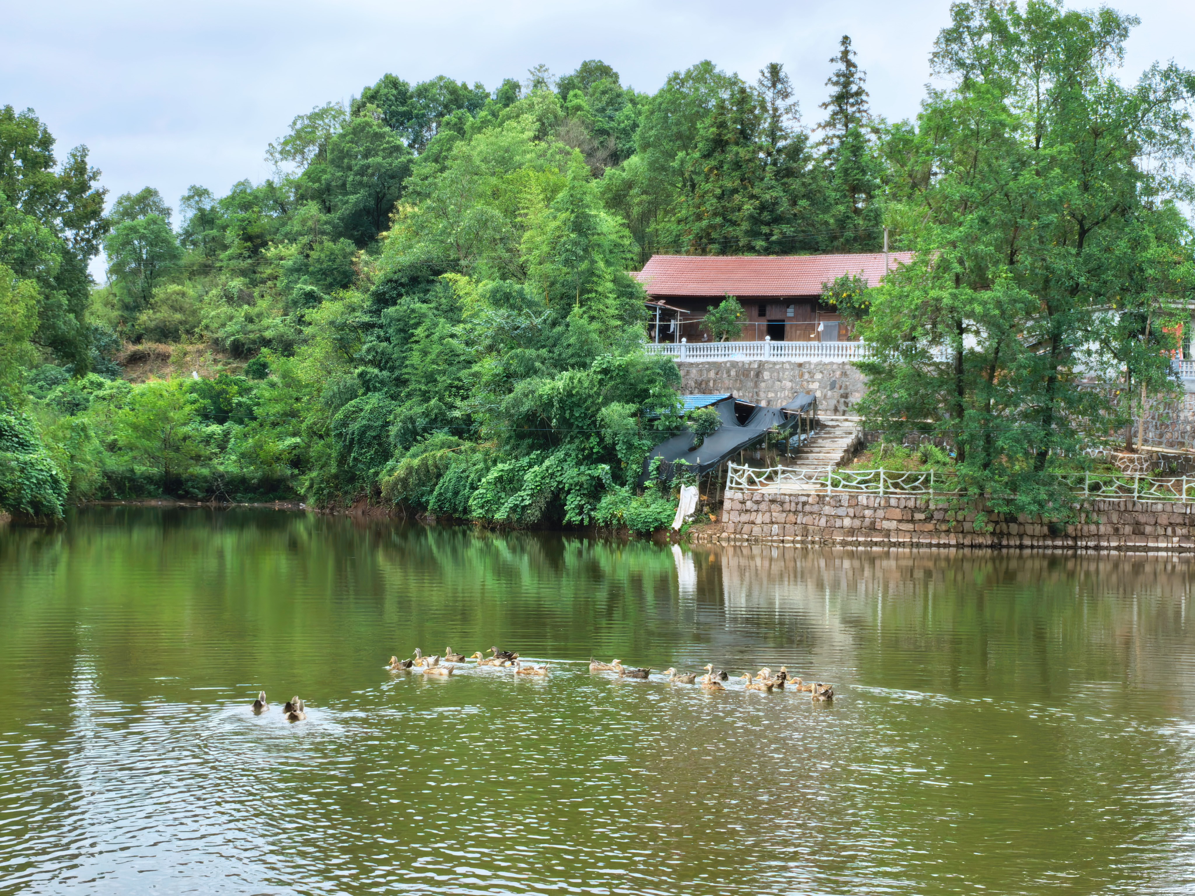 蓝溪口村鱼塘钓台新升级啦